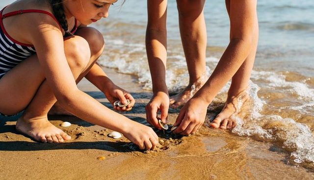 Children collecting seashells on wet shoreline playing and exploring at beach