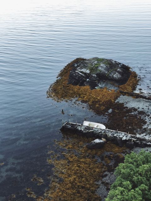 Tranquil Shoreline with Rocks, Seaweed, and Still Water - Download Free Stock Images Pikwizard.com