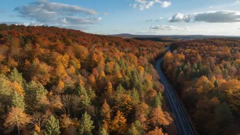 Autumn Forest Aerial View with Winding Highway