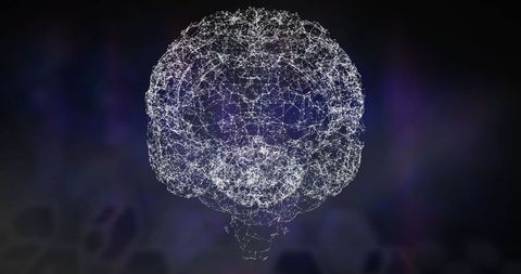 Digital brain network with interconnected nodes and lines