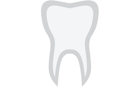 transparent tooth graphic isolated vector illustration - Download Free Stock Videos Pikwizard.com