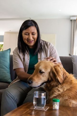 Asian mature woman petting golden retriever on sofa in cozy living room with daylight