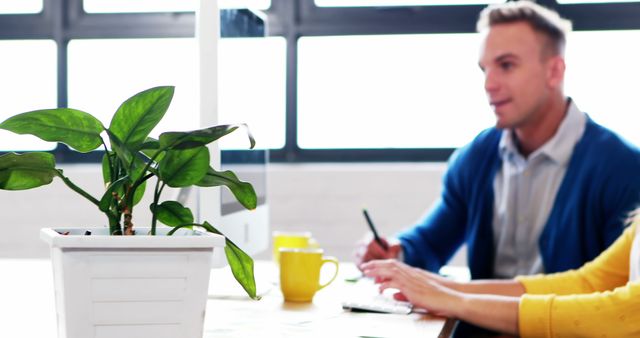 Team working in modern office with indoor plant and natural light - Download Free Stock Images Pikwizard.com