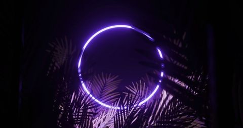 Neon Circle with Silhouetted Leaves on Dark Background