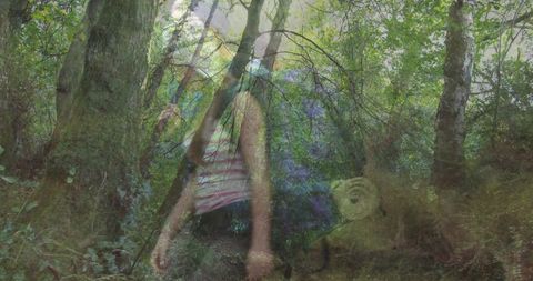 Friends Hiking Through Lush Forest Adventure