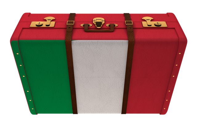 Italian Flag Suitcase Vector Illustration on Transparent Background - Download Free Stock Videos Pikwizard.com