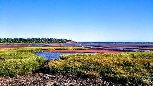 The photo captures a tranquil coastal view with vibrant green grass and red sand setting against a deep blue ocean and clear sky. Ideal for travel blogs, nature magazines, website banners, or backgrounds promoting outdoor activities, summer destinations, and natural beauty.