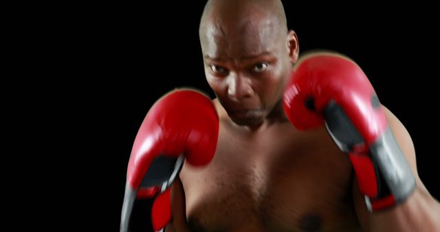 Focused Boxer with Red Gloves in Fighting Stance on Black Background - Download Free Stock Images Pikwizard.com