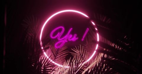Pink neon affirmation with palm leaves and dark backdrop