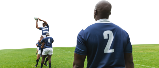 Transparent Background Diverse Male Rugby Players Playing Sport Clear Isolated - Download Free Stock Videos Pikwizard.com