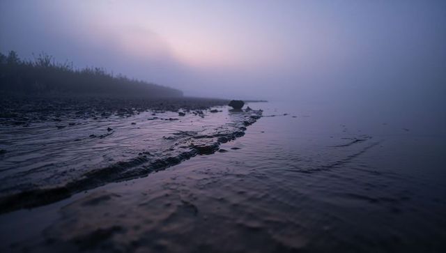 Foggy coastal mudflat at low tide with leading tidal channel, pebbles and twilight mist