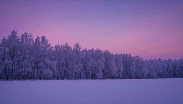 Frost-coated treeline stretching across snowy field under purple-pink twilight sky