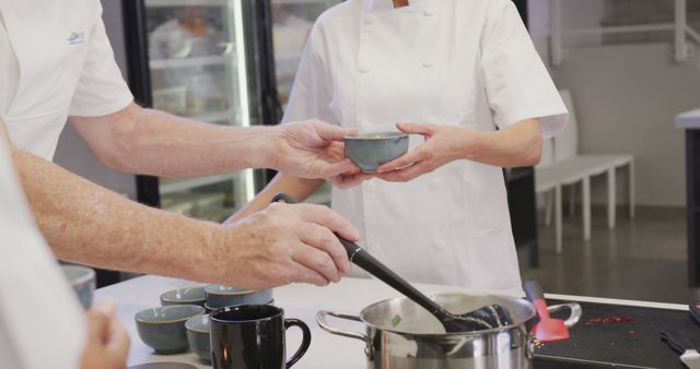 Professional Chefs Preparing Dish in Modern Kitchen - Download Free Stock Images Pikwizard.com