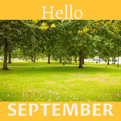 Welcoming September with Green Park in Transition - Download Free Stock Templates Pikwizard.com