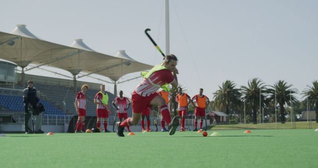 Field Hockey Team During Intense Practice Session on Sunny Day - Download Free Stock Images Pikwizard.com