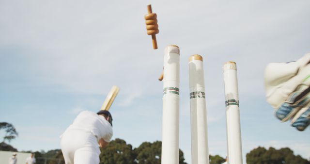 Close-Up Action of Cricket Bowler Disturbing Stumps in Outdoor Match - Download Free Stock Images Pikwizard.com