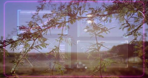 Futuristic digital interface overlay on desert shrub