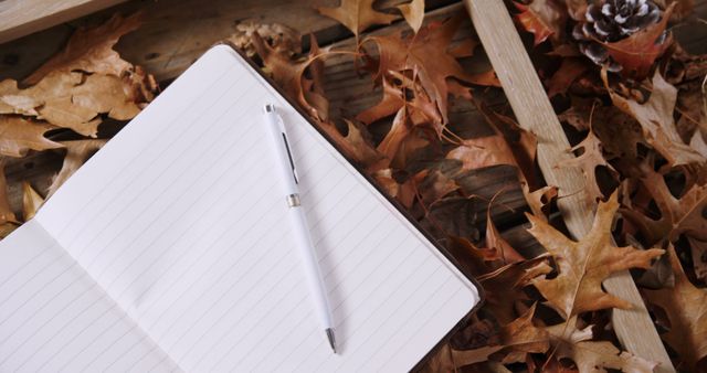 Close up of pen and notebook with ruled paper with copy space over autumn leaves. Autumn, fall and writing concept.