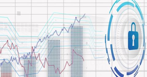 Digital security with data visualization elements