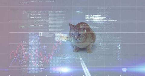 Futuristic ginger tabby cat crouching with holographic code overlays and neon analytics hud