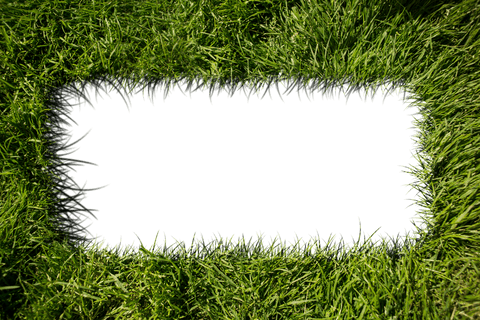 transparent grass frame illustration with copy space - Download Free Stock Videos Pikwizard.com