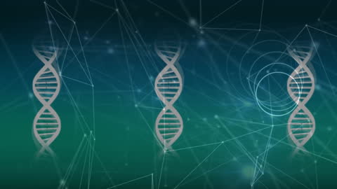 Digital DNA and Geometric Connections on Gradient Background