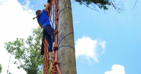 Female Climber Ascending Rope Challenge Course - Download Free Stock Images Pikwizard.com