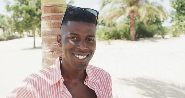 Smiling Man Standing by Palm Tree on Sunny Beach - Download Free Stock Images Pikwizard.com