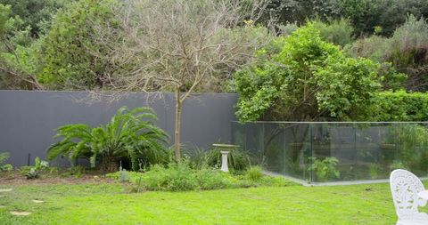 Leafless tree standing on bright green lawn with birdbath and glass fence reflecting shrubs