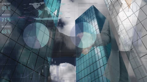 Collaborative Business Networking with Financial Data Holograms