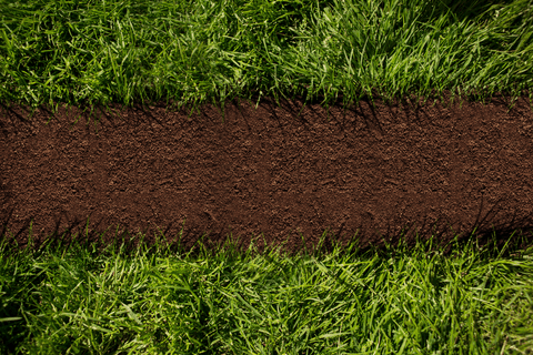 top view of fresh grass and cultivated soil, grass plant care - Download Free Stock Videos Pikwizard.com