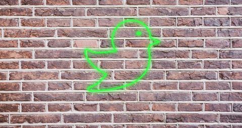 Neon Bird Icon on Brick Wall Symbolizing Social Media Communication - Download Free Stock Images Pikwizard.com