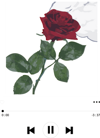 transparent audio interface with red rose and leaves - Download Free Stock Videos Pikwizard.com