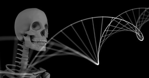Human Skeleton with DNA Strand on Black Background