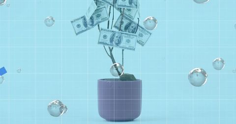 Money tree with floating bubbles for finance growth concept