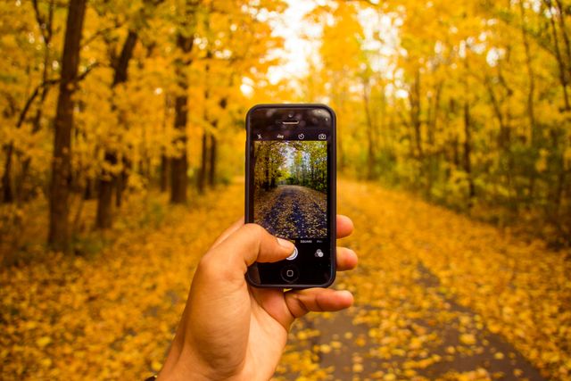 Close-up of Hand Capturing Autumn Foliage on Smartphone - Download Free Stock Photos Pikwizard.com