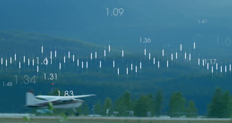 Airplane Landing with Digital Heartbeat Interface