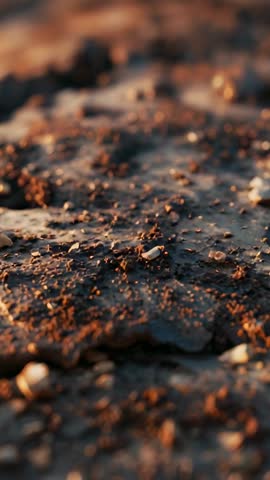 Vertical Macro Footage Showing Cracked Clay Crust and Pebbles Glowing in Golden Hour Light