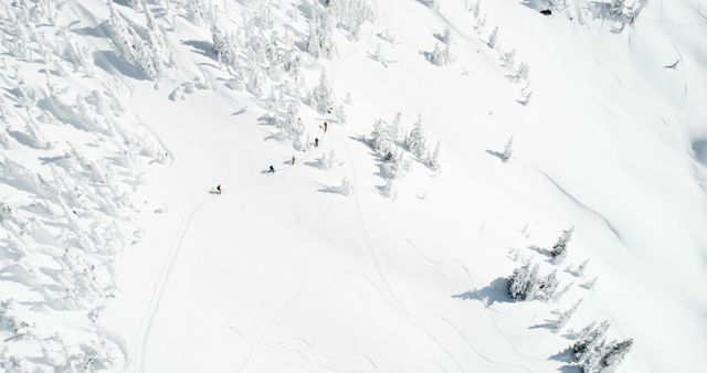 Aerial View of Snowmobiles on Pristine Snowy Landscape - Download Free Stock Images Pikwizard.com