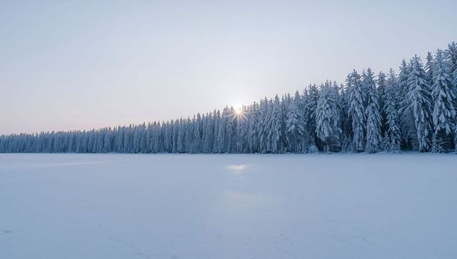 Sun peeking over snow-covered conifer treeline at frozen lake, minimal winter landscape