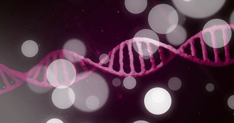Neon Pink DNA Double Helix Floating Over Dark Purple Gradient with Soft Bokeh Orbs