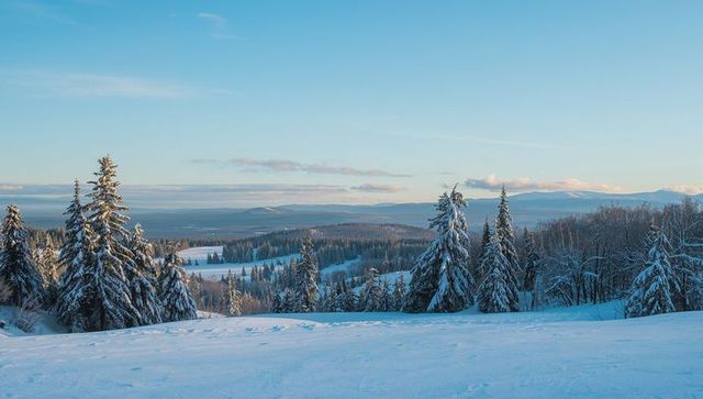 Sunlit Snowfield with Frosted Evergreens Spanning Winter Mountain Valley at Sunrise