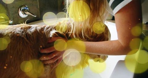 Young woman bathing golden retriever in bathtub with warm bokeh light and hands-on care