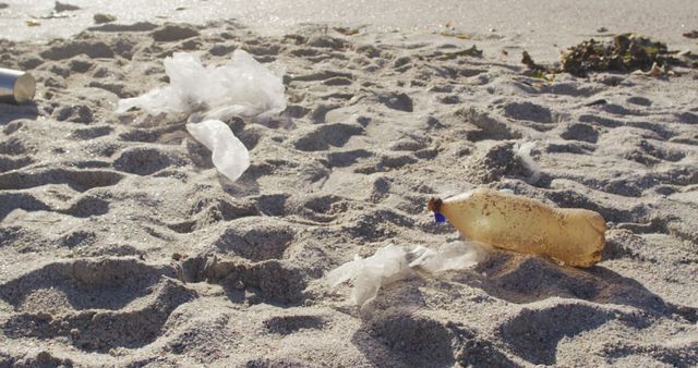 Pollution on Sandy Beach with Plastic Bottles and Trash - Download Free Stock Photos Pikwizard.com