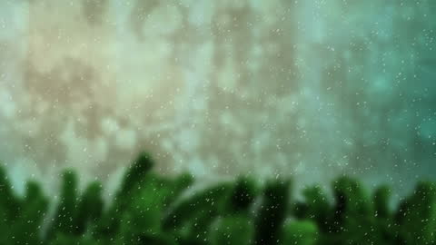 Snow Falling Over Winter Forest Scene With Fir Trees