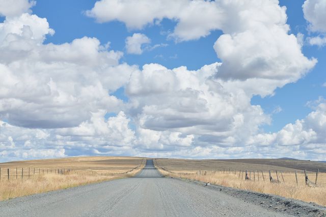 Long, straight country road vanishing into distance under bright, blue sky filled with fluffy clouds. Highlights serenity and vastness of rural landscapes. Ideal for use in themes of travel, freedom, and tranquility. Useful for posters, websites, travel blogs, and promotional materials emphasizing open spaces and adventures.