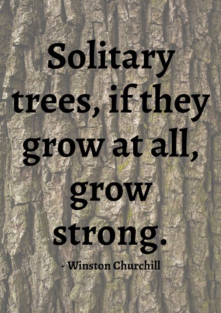 This image features an inspirational quote from Winston Churchill, printed on the textured bark of a tree, emphasizing themes of resilience, growth, and solitary strength. Ideal for use in motivational posters, personal growth workshops, social media encouragement posts, or educational materials focusing on strengths and overcoming adversity.