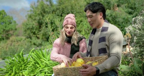 Young couple holding wicker basket of fresh lemons while picking in sunny backyard garden