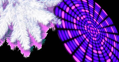 Colorful circular light decoration with fir tree branch at night