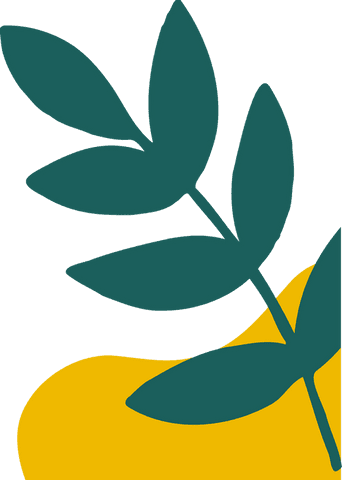 Transparent background botanical illustration with leaf over yellow shape